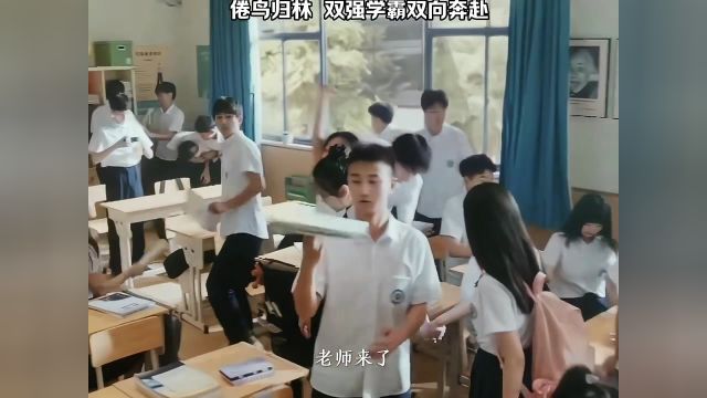 倦鸟归林”双强学霸双向奔赴