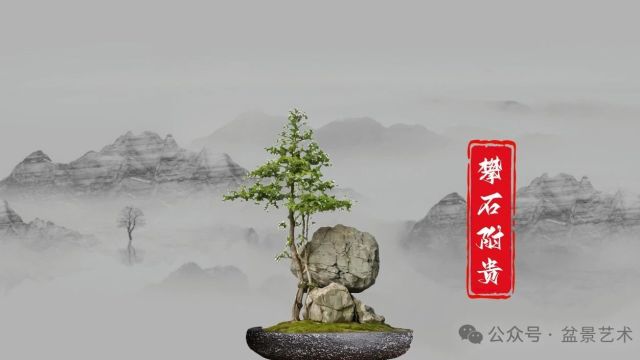 川派盆景在世界盆景艺术领域中独树一帜