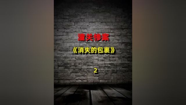 潼关惨案:消失的包裹.中