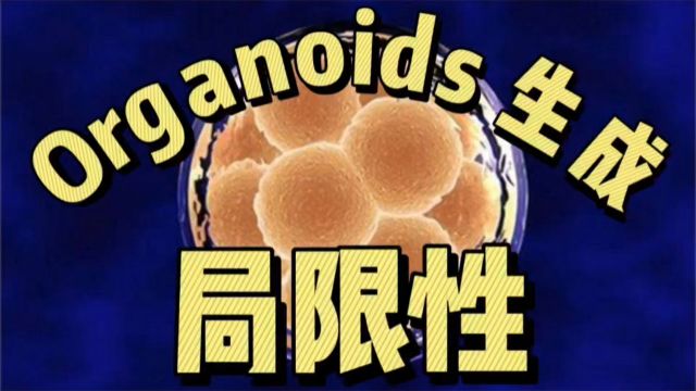 Organoids生产方法的局限性