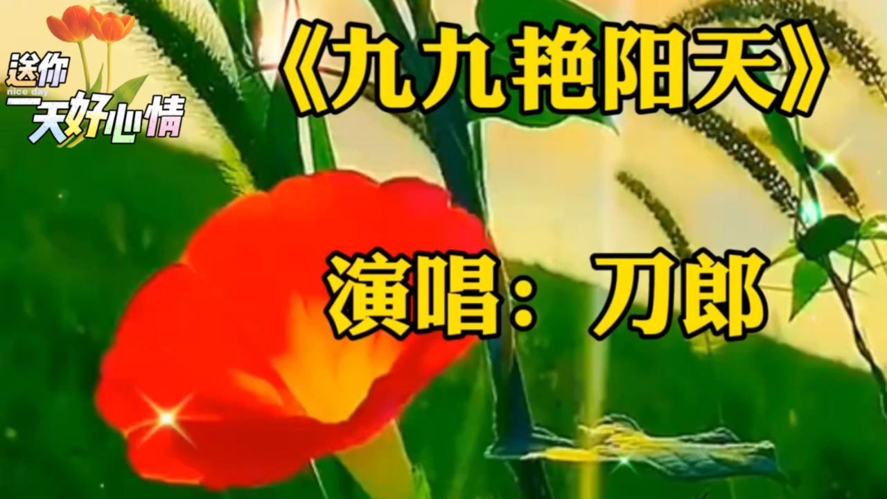 一首《九九艳阳天》刀郎老师唱的好听,独特的嗓音,听得荡气回肠,旋律
