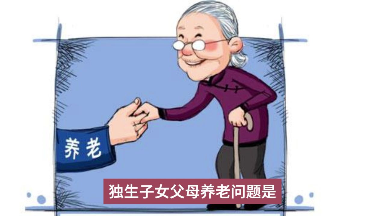 独生子女父母养老:国家的角色与社会的担当