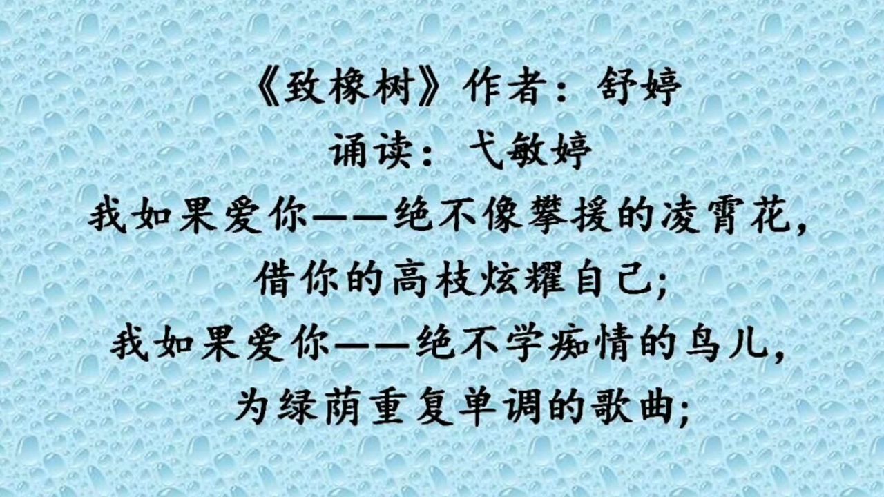 《致橡树》作者:舒婷,诵读:弋敏婷