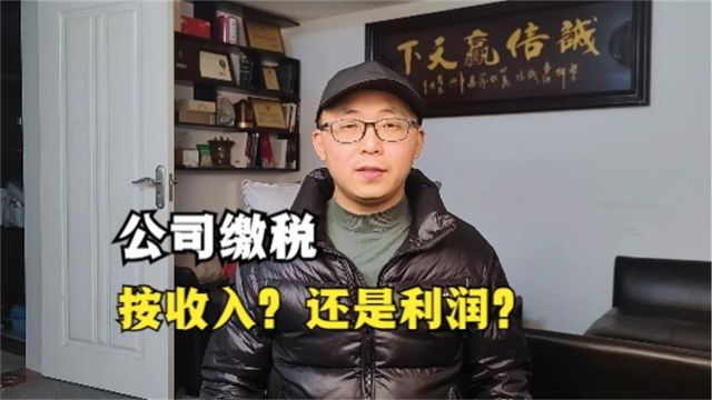 公司缴税是按收入?还是利润?创业小白必看,2分钟学会