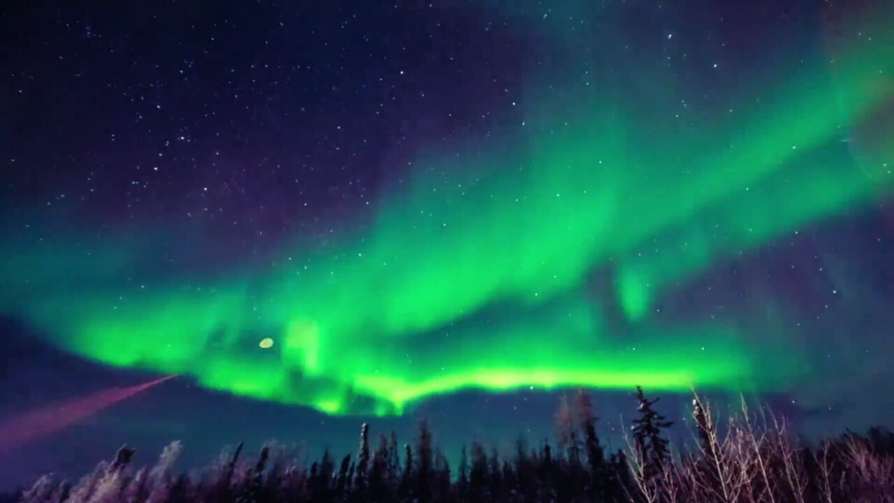 加拿大 #北极光之夜#黄刀镇看极光 #肖战 #绿光