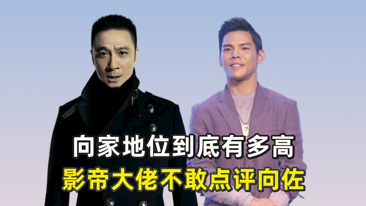 向家地位到底有多高,影帝大佬不敢点评向佐