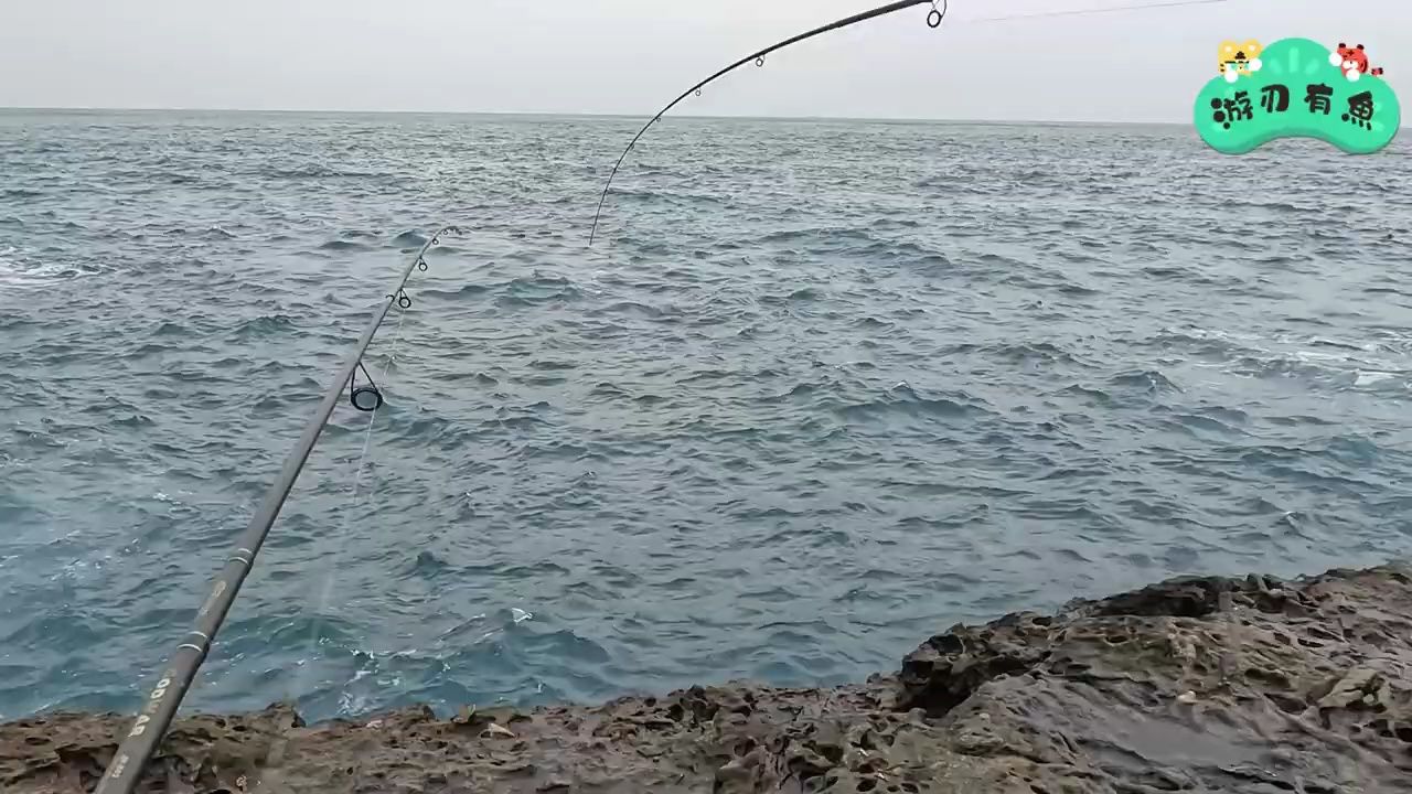海钓矶钓,深澳渔港钓点,钱鳗鱼,石狗公鱼,剥皮鱼, 天竺鲷,惊喜不断
