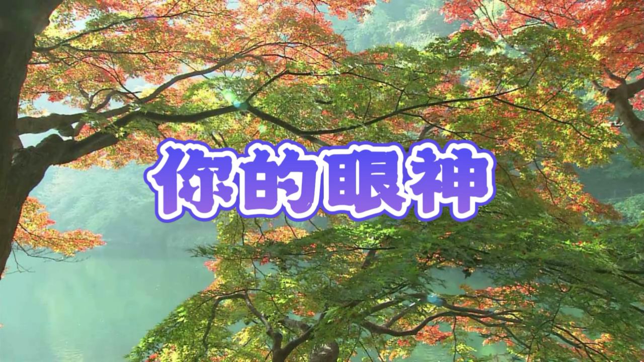 你的眼神 - 歌曲