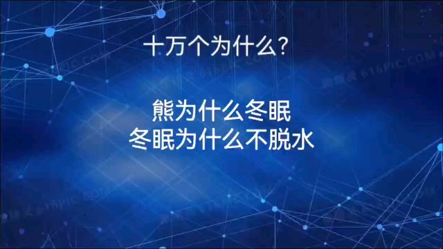 熊,为什么冬眠,冬眠为什么不喝水?