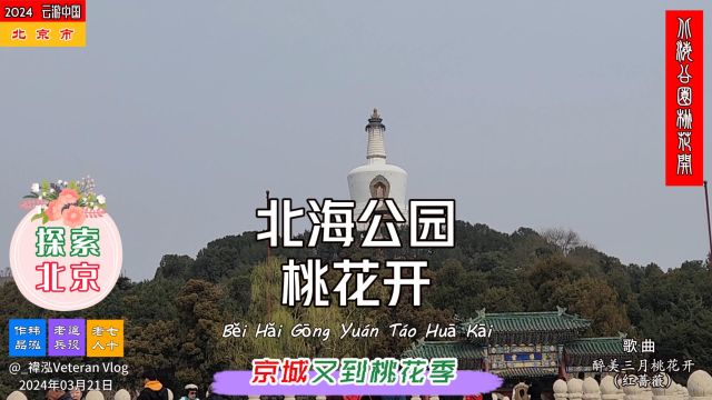 探索北京——北海公园桃花开,京城又到桃花季