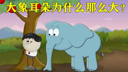 动画科普:为什么大象有一对大耳朵