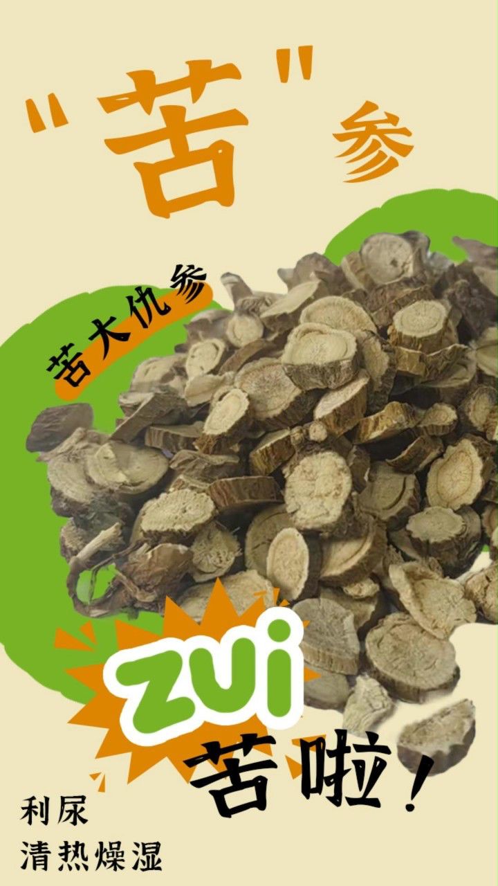 苦参,苦大仇参,排石很深