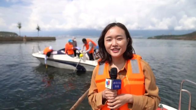 洱海水质、污水管网修复、生态廊道管理……大理州洱海管理局上线《政风行风热线》