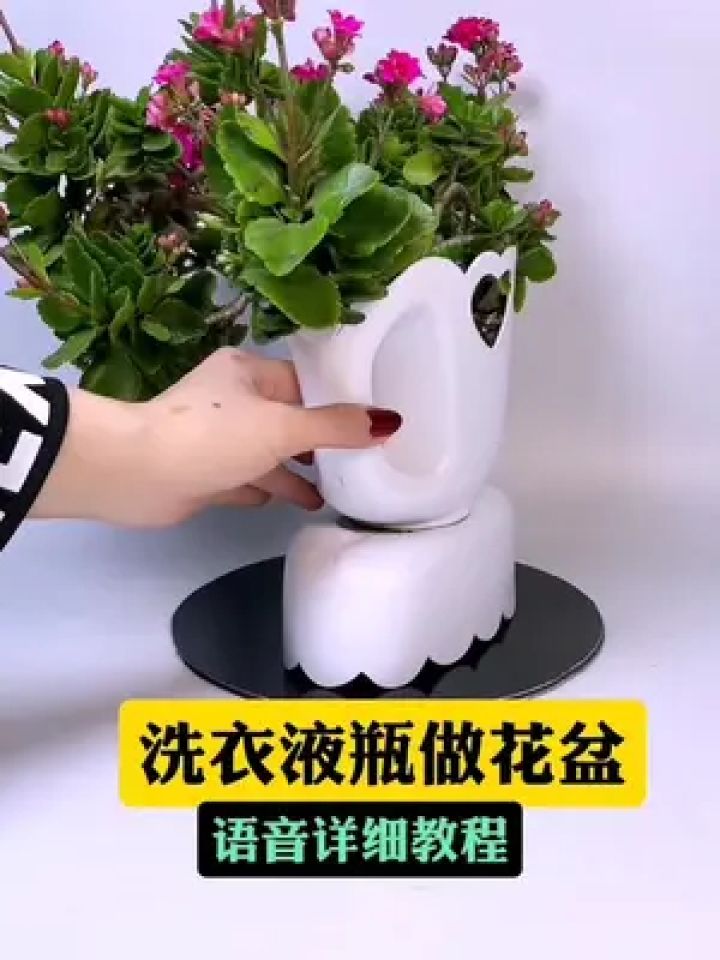自制花盆 #手工 #洗衣液瓶子改造
