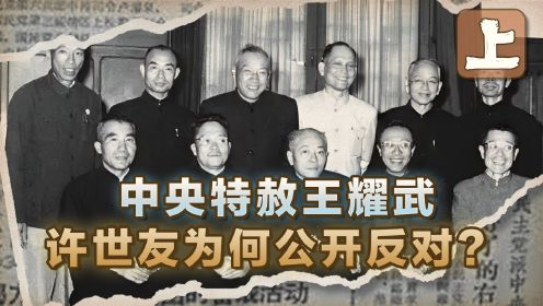 1959年中央特赦王耀武，许世友罕见“反对”，说“死也不会原谅他”