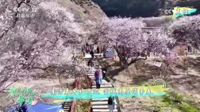 口碑热度双丰收!《春暖花开的中国ⷮŠ西藏篇》高能出圈