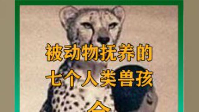 被动物养大的七个兽孩,当了近20年女人猿泰山,他们既神秘又悲惨全