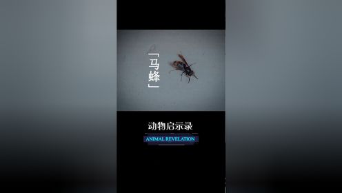 02自私自利者终会自食其果0202