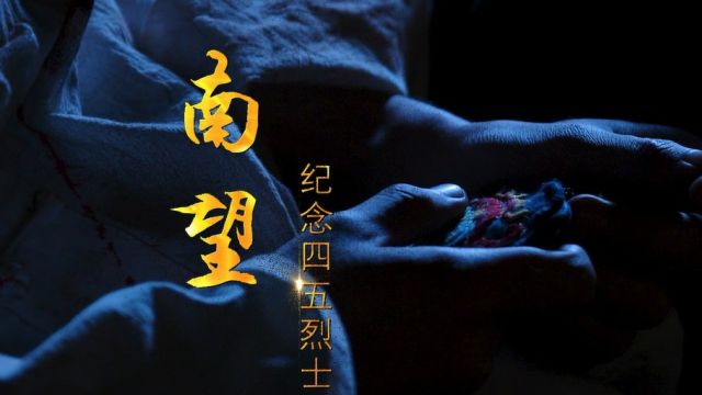 《南望》 作词:知音 作曲:宝文 演唱:潘田果