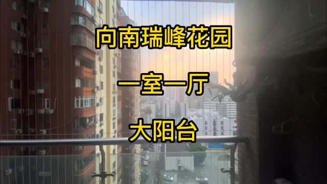 向南瑞峰花园 一房一厅 大阳台