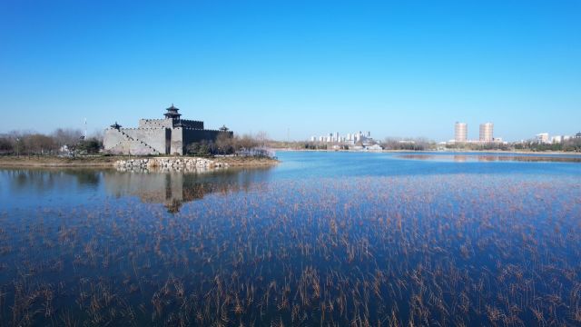 千城胜景|河北河间:春回小城 花开水鸟归