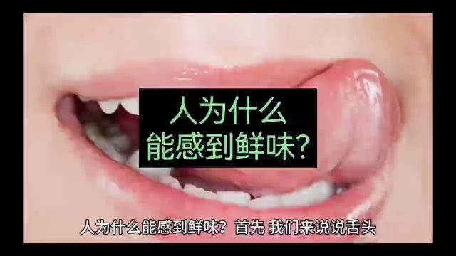 人为什么能感到鲜味?