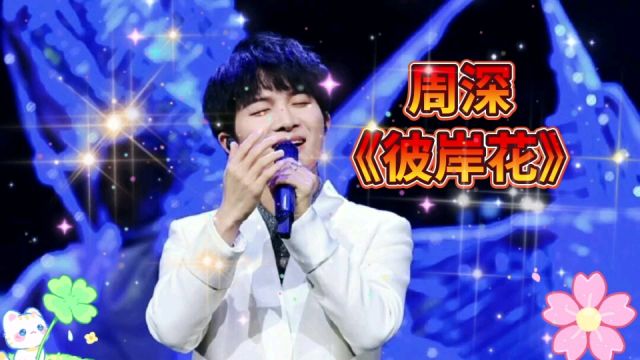 周深演唱《彼岸花》,清澈明亮的歌声像花儿一样绽放