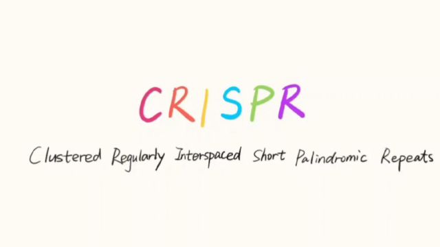 一个视频带你了解什么是CRISPR基因编辑技术~