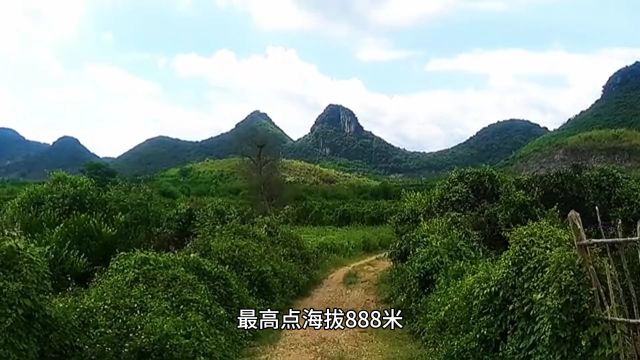 走进温州岷岗金堡山:一场视觉与历史的双重盛宴