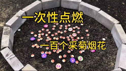 据说:一次性点燃一百个彩菊烟花效果很好看,帅小伙实测