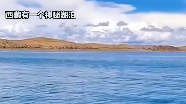 禁忌之湖,西藏鱼满为患!却无人敢动一指?来看究竟为何如此神秘