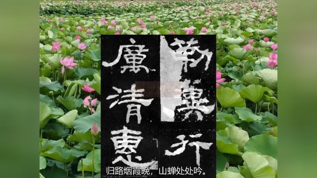 唐诗朗诵《游少林寺》唐 沈佺期 书法 《韩仁铭》