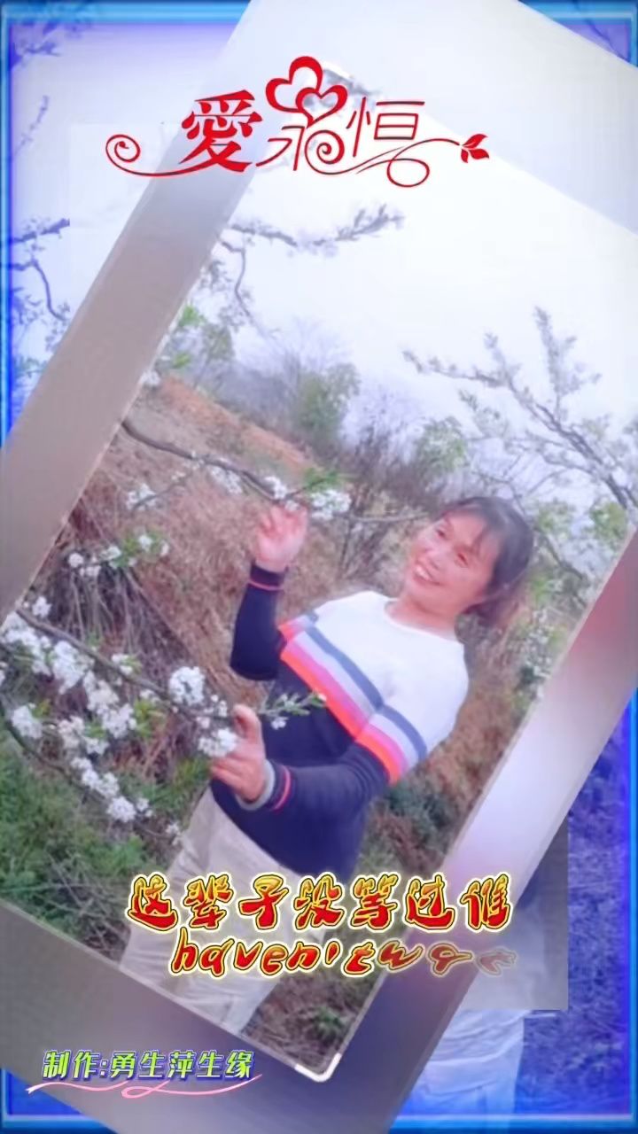 萍姐情感:心甘情愿的等你