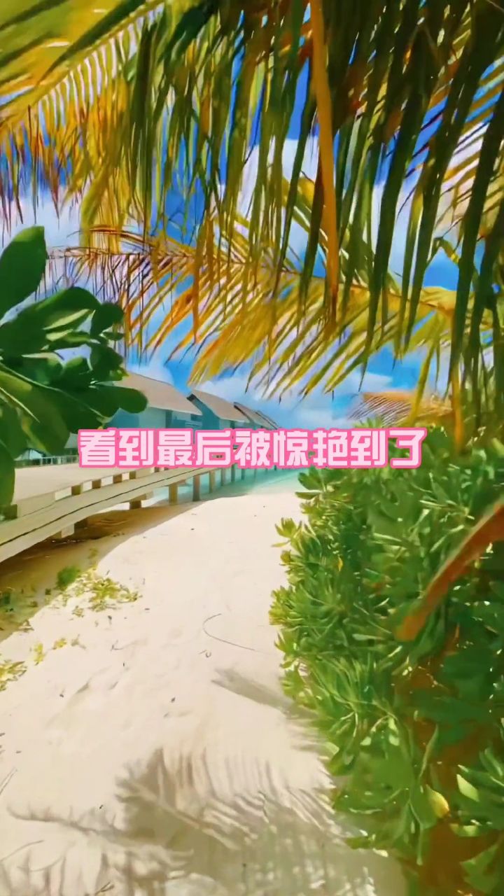 sendit这首歌的前奏一响,就仿佛回到了18年的夏天.