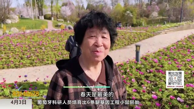 步步莲花西安植物园“风之花”你见过吗