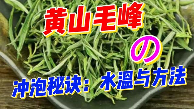 茶文化之黄山毛峰的冲泡秘诀:水温与投茶