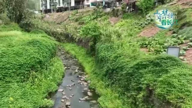 赤水河率先实施全面禁渔,赤水段实现全天候监管,河两岸污水集中收治处理