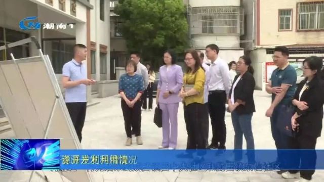 区人大常委会调研我区侨资源开发利用情况