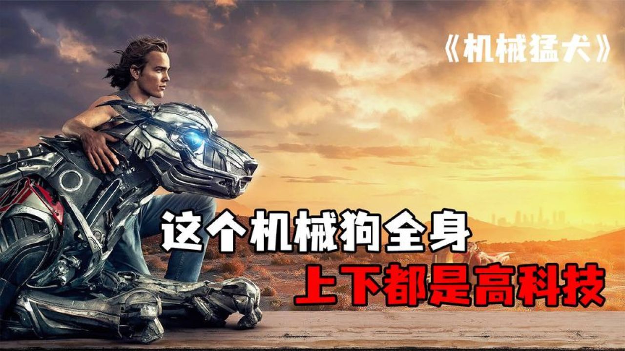 男孩收养一只机械狗,他全身上下都是高科技