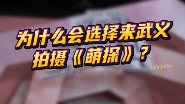 一大波明星来金华拍综艺啦!就在这些地方拍,地点就在……