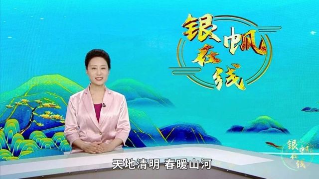 《银帆在线》2024年第五期《清明》篇(总第29期)