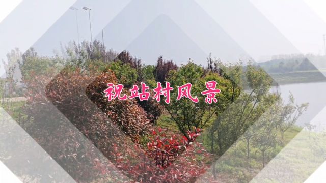 孝感市孝南区祝站镇祝站村风景