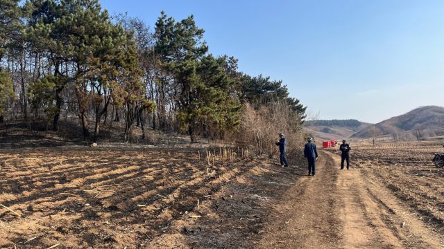 辽宁沈抚示范区山火得到有效控制,没有造成人员伤亡