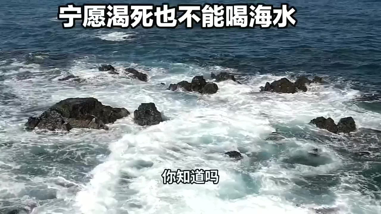 揭秘海水之毒:为何渴死也不喝?