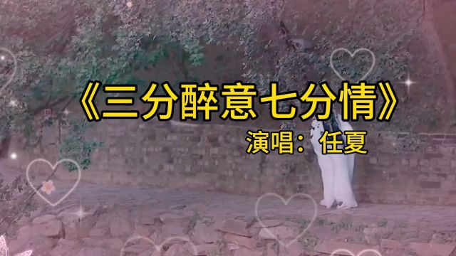 《三分醉意七分情》任夏版本歌曲,留不住的人