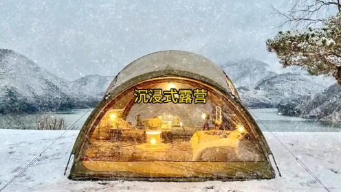 大雪中沉浸式露营#户外露营🏕 #露营帐篷 #雪中露营 #露营报告