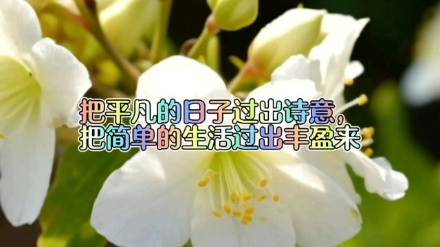 把平凡的日子过出诗意,把简单的生活过出丰盈来