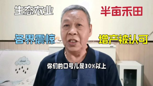 85.半亩禾田增产爆出,引起各界产量震惊,生态农业发展秘密武器