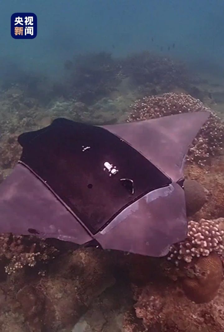 看仔细了,这是西北工业大学研制的"魔鬼鱼"