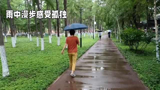 雨中漫步,感受孤独